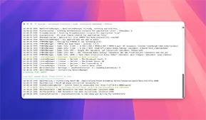 Storm Streaming Server Installer