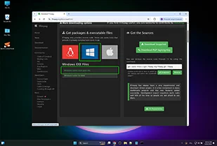 Click on the Windows link and choose gyan.dev
