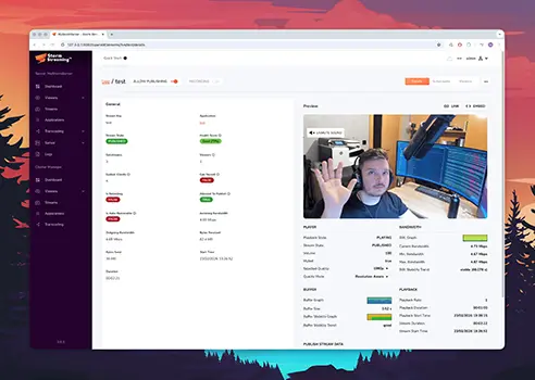 Stream playback in control panel