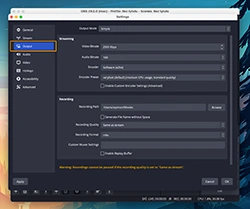 Select the Output tab on the left side.